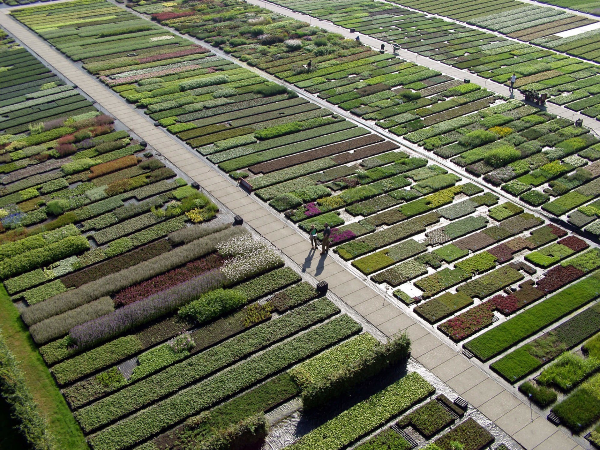 Milieuvriendelijk werkgelegenheid totaal Vaste planten – Groenesector NL
